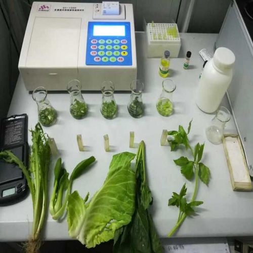 农药残留检测仪广泛运用于蔬菜水果,新鲜水果,荼叶,谷物,农副食品等